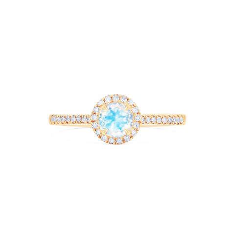[Nova] Petite Halo Diamond Ring in Moonstone Women's Ring michelliafinejewelry   
