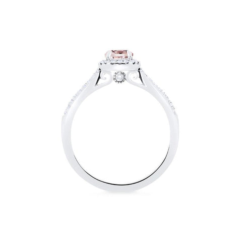 [Nova] Petite Halo Diamond Ring in Morganite Women's Ring michelliafinejewelry   